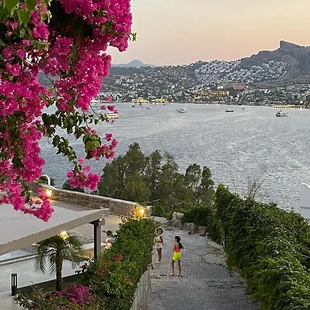 Dream House Apartament Bodrum